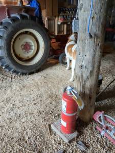 extinguisher04.jpg